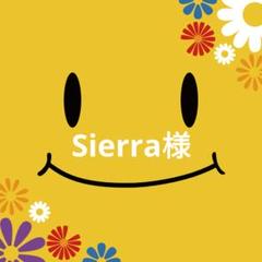 Sierra様専用ページ 崩壊スターレイル 鏡流 C 版 - メルカリ