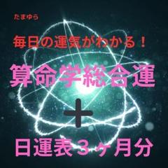 毎日の運気がわかる！算命学パーフェクト鑑定＋日運表3ヶ月