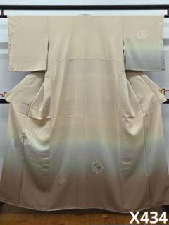 蘇州刺繍 汕頭刺繍 付け下げ 鏡裏文 ぼかし染 正絹 躾糸付き ガード加工済