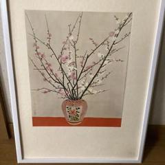 天才画家　速水御舟　作品集大作編　便利堂監修【NO 40】　　瓶梅図 m50566351037_1.jpg?1716260219