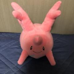 ポケドール　サニーゴ　2002 ポケドールサニーゴ2002