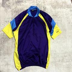 古着USA製DAVE SCOTT arena 半袖 Tシャツ 紫 青 黄　Ｌ