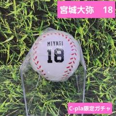 オリックス　宮城大弥　スクイーズボール　 ガチャガチャ C-pla限定ガチャのサムネイル