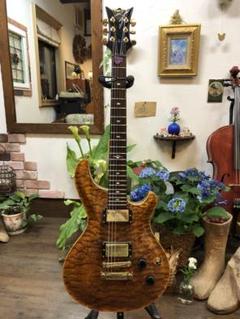 富士弦製DBZ GUITARS Infinity Mondial　T'sPU搭載 送料無料 富士弦 フジゲン DBZ GUITARS INFINITY MONDIAL