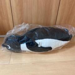 Suica スイカペンギン 抱き枕