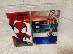 スパイダーマンチケットホルダー　ディズニープラス　ミニクリアファイル