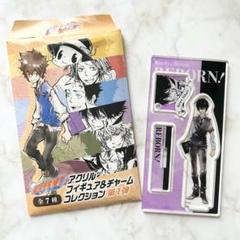 2025年最新】雲雀恭弥 リボーンの人気アイテム - メルカリ