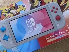 Nintendo Switch NINTENDO SWITCH LITE ザシ…