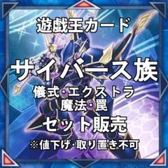 サイバース族　儀式　エクストラ　魔法　罠　まとめ売り【ヤシの木】 サイバース族 儀式 エクストラ 魔法 罠 まとめ売り【ヤシの木