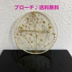 アンビデックス ブローチ