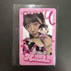 小泉遥香 ぬいぐるみ ちびぬい トレカ 新品 超ときめき♡宣伝部 小泉遥香 ときめきぬいぐるみ