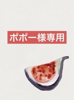 専用出品 イチジク穂木 レアなイチジク】海外品種は魅力的！高額取引される穂木を購入し