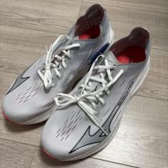 Mizuno ウェーブリペリオンプロ2 28.0cm 新品未使用