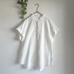 【グリーンレーベルリラクシング】フリルスタンドカラー　フレンチスリーブブラウス