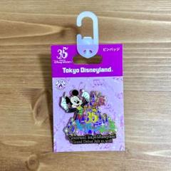 2025年最新】ディズニー 35周年 ピンバッジの人気アイテム