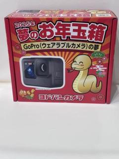 goproの夢 ヨドバシ 福袋 新品未使用 新品未開封！2024年 ヨドバシカメラ 福袋 GoPro 10 の夢