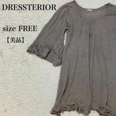 美品 DRESSTERIOR ドレステリア フリル袖 ニット フリー 上品キレイ