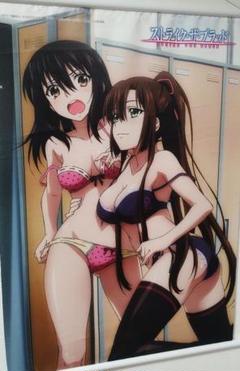 ストライク・ザ・ブラッド★姫柊雪菜＆煌坂紗矢華★特大バスタオル★ハイパーレア ストライク・ザ・ブラッド 姫柊雪菜 煌坂紗矢華 B2タペストリー