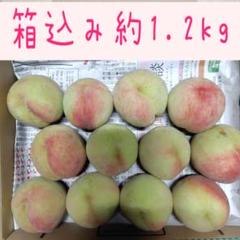 93☆加工用若桃☆資材込み約1.2kg☆宅急便コンパクト入 - メルカリ