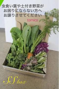 野菜詰め合わせ SS【5/28(木)発送】tomico〔メルカリ便〕 ra