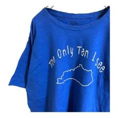 フルーツオブザルームfruitof the loom Tシャツ デカロゴ　ブルー