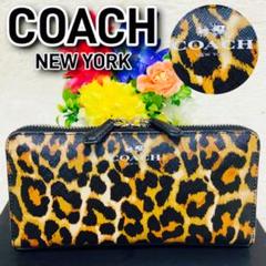 Amazon | [ケイトスペード] カードケース katespade PVC