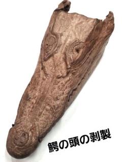 2025年最新】ワニ剥製の人気アイテム - メルカリ