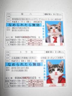⭐️希少品⭐️なめ猫免状等 Z197 なめねこ なめ猫 なめんなよ 免許証 ニャン太郎 トラ次郎