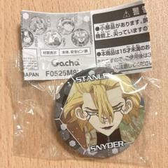 dr.stone ドクスト　スタンリー　特典　ミニフォト　缶バッジ　セット 2025年最新】ドクターストーン スタンリーの人気アイテム - メルカリ