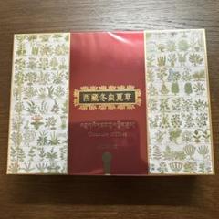 NOEVIA ノエビア 西蔵冬虫夏草 チベット冬虫夏草ドリンク4箱 ノエビア 常盤薬品 チベット 冬虫夏草 ドリンク 20本 - メルカリ
