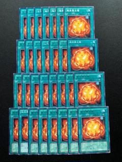 遊戯王 超栄養太陽 ノーマル 字レア
