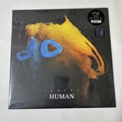 yahyel「HUMAN」レコード YAHYEL / HUMAN / LP | Record CD Online Shop JET SET