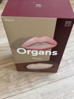 DOIY ドーイ Organs 収納ボックス