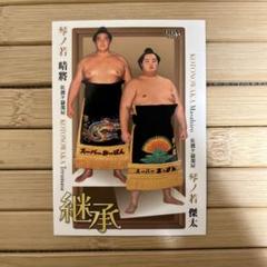 BBM 2024 大相撲カード 「響」 サブセットカード 琴ノ若傑太 琴ノ若晴將
