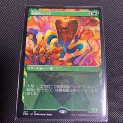 MTG  水蓮のコブラ プロモ foil 4枚セット  ニールセン en_0ba6fe138d.jpg