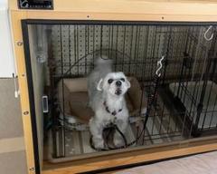 防音犬小屋 新品 khouse_111