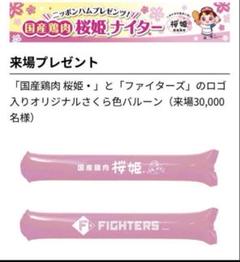 北海道日本ハムファイターズ　応援グッズ2つセット