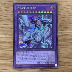 【最安値❗️】究極竜魔導師　25thシークレット 安い 究極竜魔導師（マスター・オブ・ドラゴンマギア） 25th