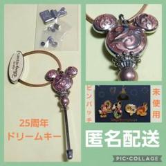 最新のデザイン ディズニー 25周年 ドリームキー 小物 アクセサリー Soccerethiopia Net