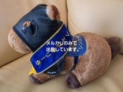 AVANTI Sサイズ 第14回フェブラリーS シンコウウインディ AVANTI Sサイズ 第14回フェブラリーS シンコウウインディ - メルカリ