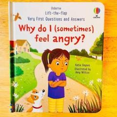 英語絵本Why do I (sometimes) feel angry?