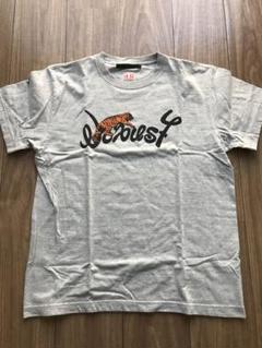beams タイガー　グレー