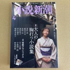 「大人の胸打つ小説集」小説新潮　 2010年4月号のサムネイル