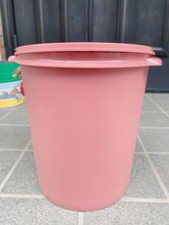 Amazon | TupperwareライスKeeper、10 kg | Tupperware | 米びつ