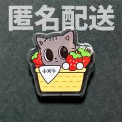 TXT ご当地バッチ プルバトゥ ダゴニャン セット 愛知 神奈川 東京 大阪 TXT ご当地バッチ プルバトゥ ダゴニャン セット 愛知 神奈川