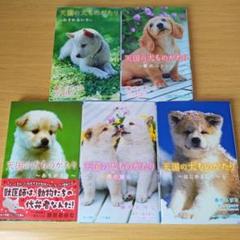 o-550 セット 天国の犬ものがたり 小説 小学館ジュニア文庫