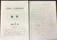 ３回分【最新版】2024年６月特訓クラス選抜試験６月８月駿台模試 ５教科 2024年6月特訓選抜合格基準 | サクラをみたい@2020中受終了
