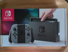 Nintendo Switch グレー 本体 付属品あり 初期型