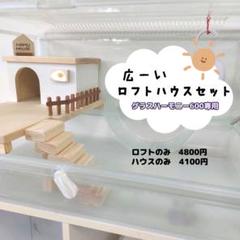 2025年最新】ハムスター ケージ グラスハーモニー6の人気
