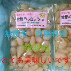 農家直送　香川県産 無農薬栽培 らっきょう5キロ 農家直送 香川県産 無農薬栽培 らっきょう1キロ - メルカリ